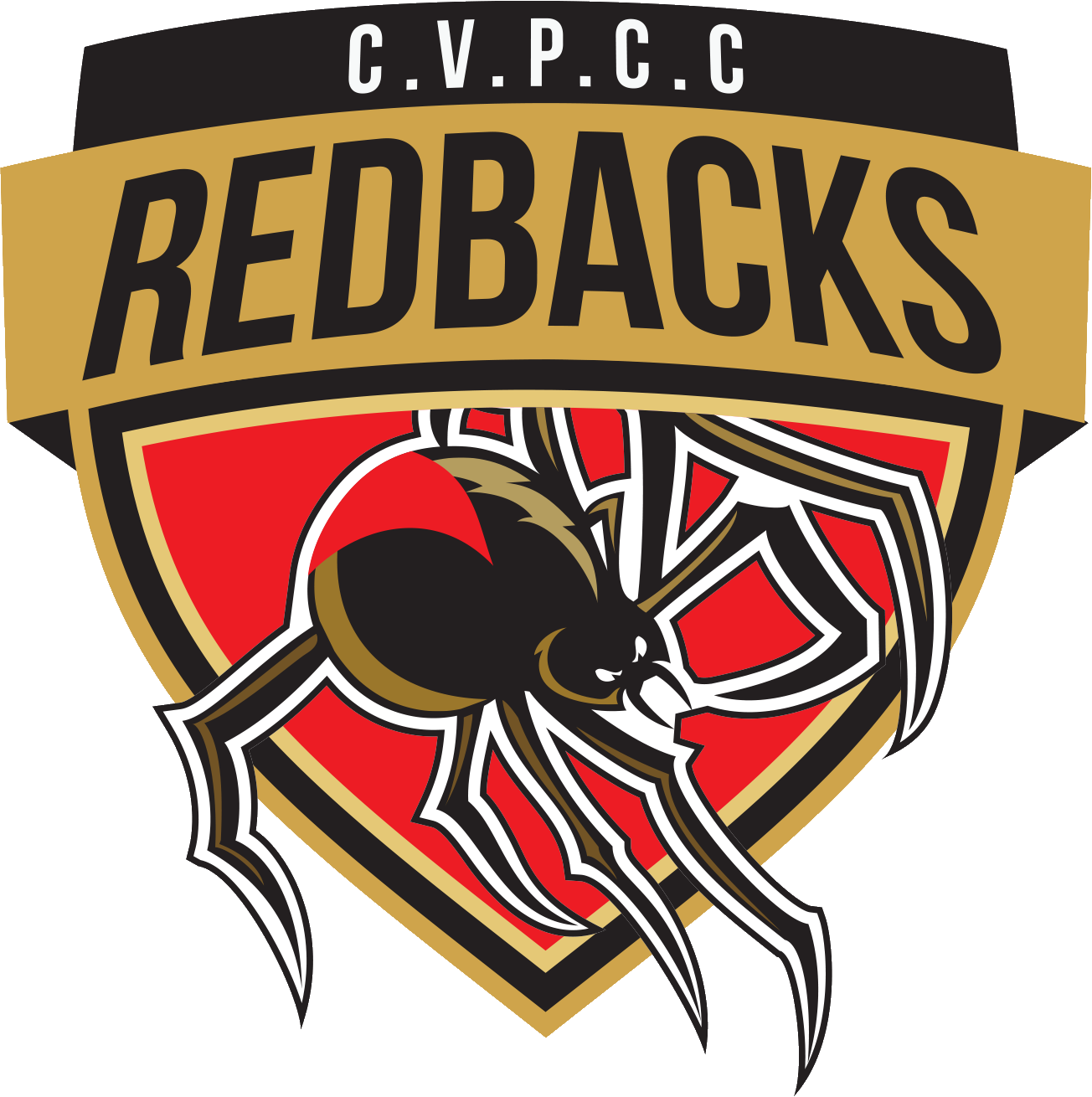 Redbacks Cricket Club